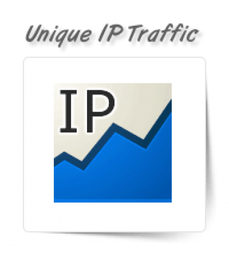 Unique IP Traffic